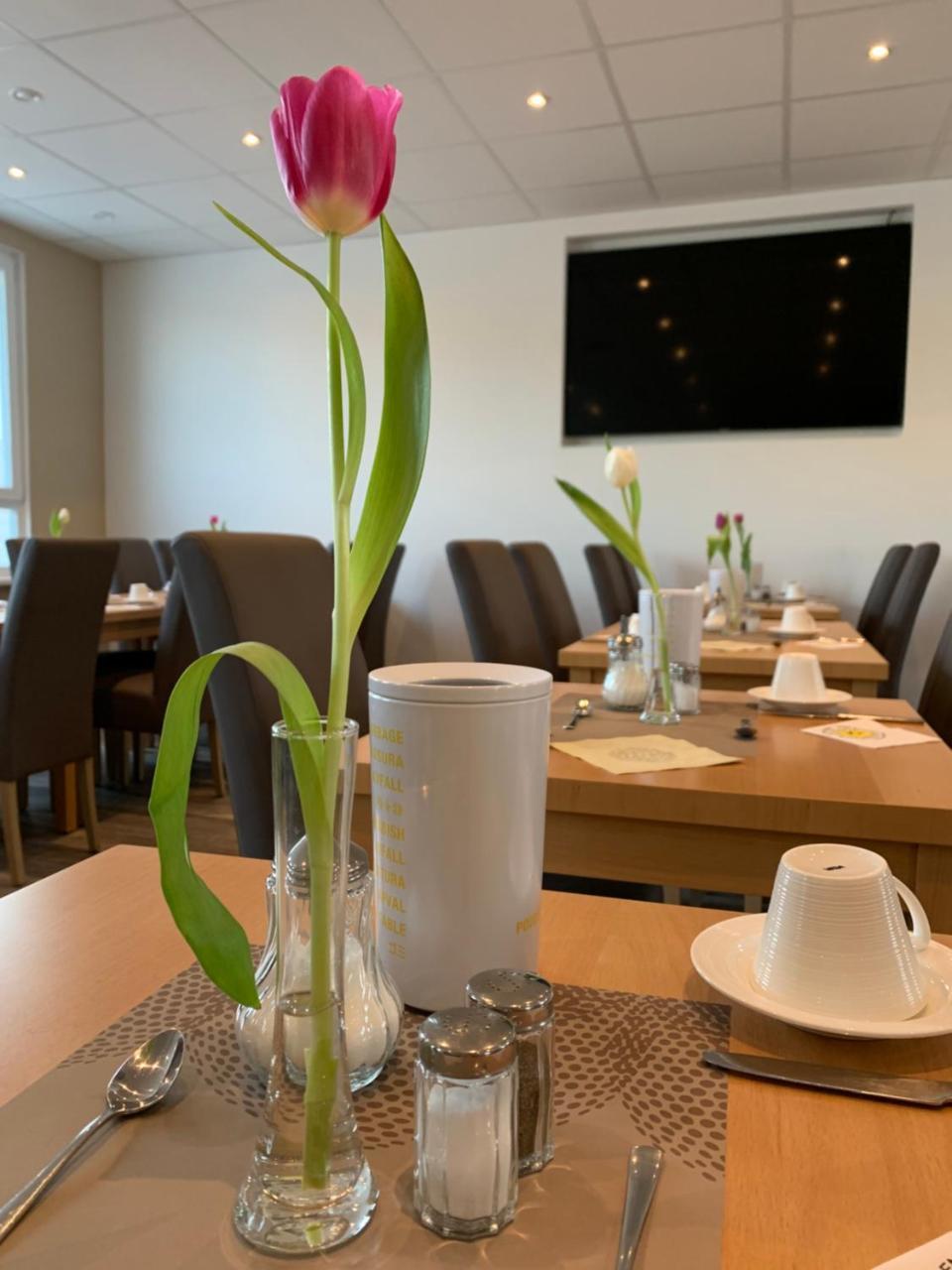 Hotel Bannewitz Екстер'єр фото